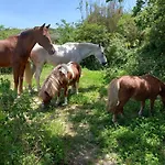 Casinha Da Lareira - Quintinha Dos Cavalos- * Arruda dos Vinhos