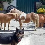 Casinha Da Lareira - Quintinha Dos Cavalos- Arruda dos Vinhos