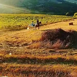 Casinha Da Lareira - Quintinha Dos Cavalos- Chalet Arruda dos Vinhos