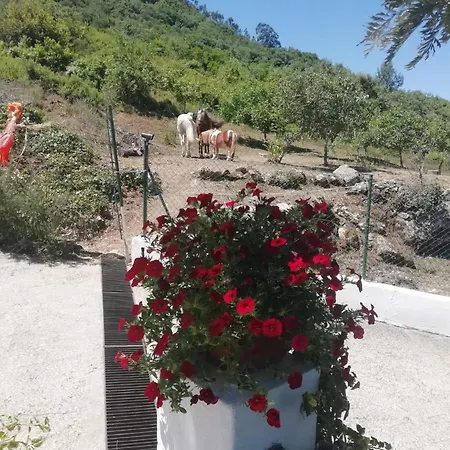 Casinha Da Lareira - Quintinha Dos Cavalos- * Arruda dos Vinhos