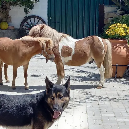 Casinha Da Lareira - Quintinha Dos Cavalos- Arruda dos Vinhos