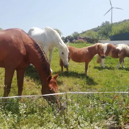 Casinha Da Lareira - Quintinha Dos Cavalos- Chalet *