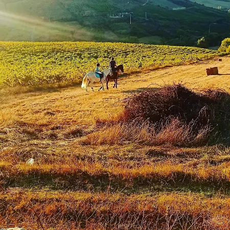 Casinha Da Lareira - Quintinha Dos Cavalos- Chalet Arruda dos Vinhos