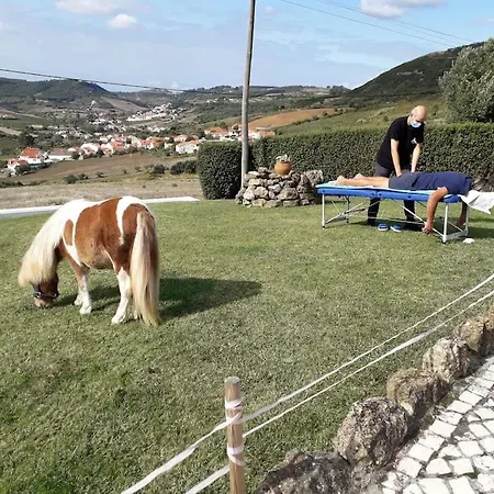 Casinha Da Lareira - Quintinha Dos Cavalos- Alpesi faház