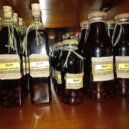 Casinha Da Lareira - Quintinha Dos Cavalos- Chalet