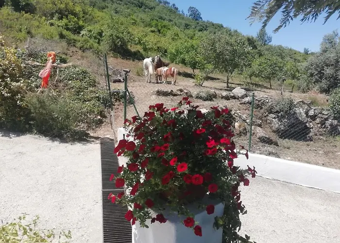 Casinha Da Lareira - Quintinha Dos Cavalos- * Arruda dos Vinhos