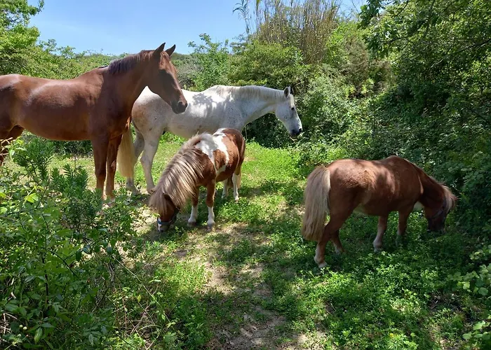 Casinha Da Lareira - Quintinha Dos Cavalos- * Arruda dos Vinhos