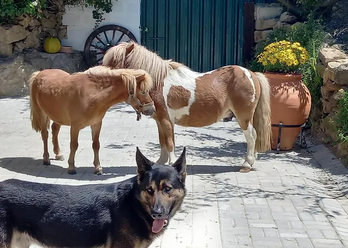 Casinha Da Lareira - Quintinha Dos Cavalos- Arruda dos Vinhos