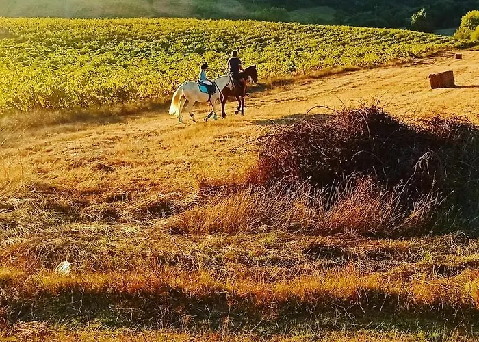 Casinha Da Lareira - Quintinha Dos Cavalos- Chalet Arruda dos Vinhos