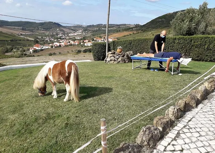 Casinha Da Lareira - Quintinha Dos Cavalos- Chalet